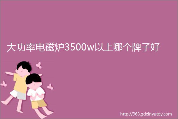 大功率电磁炉3500w以上哪个牌子好