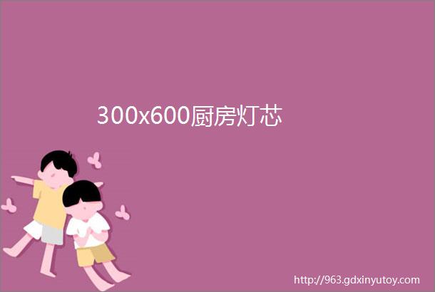 300x600厨房灯芯