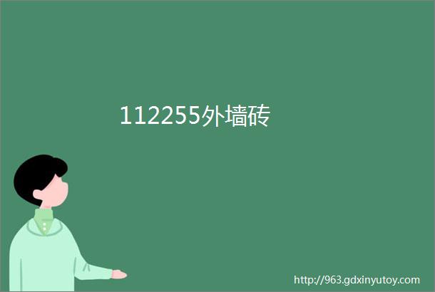 112255外墙砖