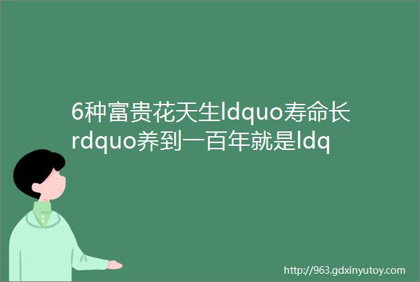 6种富贵花天生ldquo寿命长rdquo养到一百年就是ldquo镇家宝rdquo