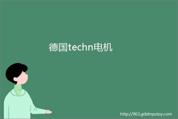 德国techn电机