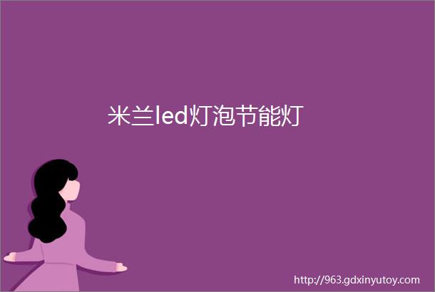 米兰led灯泡节能灯