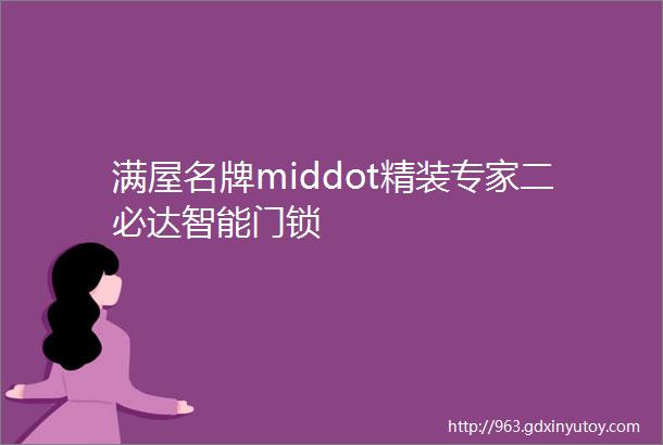 满屋名牌middot精装专家二必达智能门锁