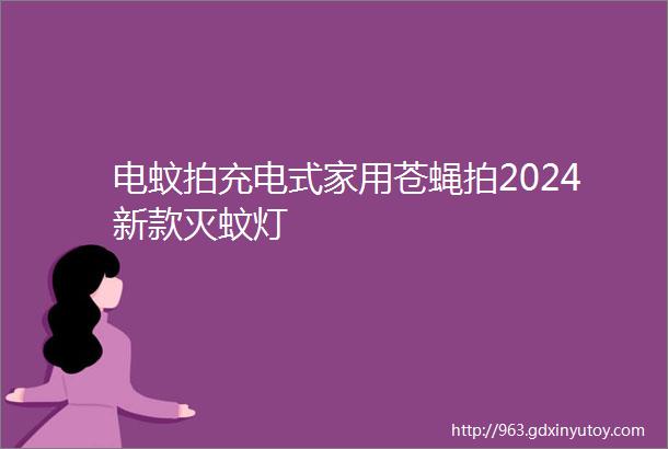 电蚊拍充电式家用苍蝇拍2024新款灭蚊灯