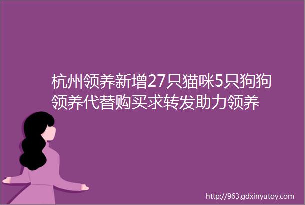 杭州领养新增27只猫咪5只狗狗领养代替购买求转发助力领养