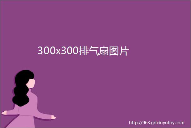 300x300排气扇图片