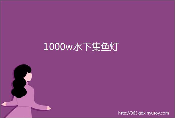 1000w水下集鱼灯