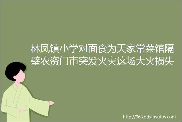 林凤镇小学对面食为天家常菜馆隔壁农资门市突发火灾这场大火损失惨重helliphellip