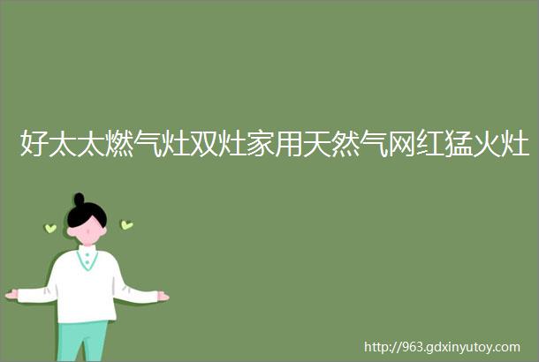 好太太燃气灶双灶家用天然气网红猛火灶