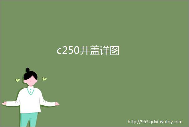 c250井盖详图