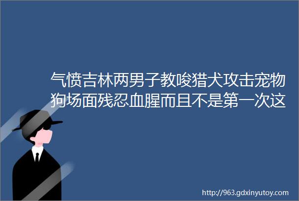 气愤吉林两男子教唆猎犬攻击宠物狗场面残忍血腥而且不是第一次这么干hellip