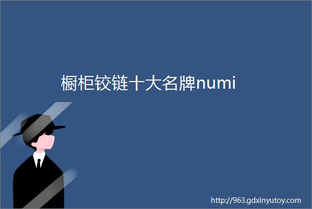 橱柜铰链十大名牌numi