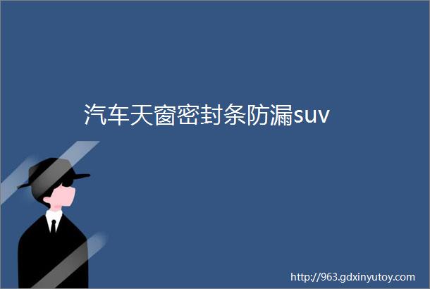 汽车天窗密封条防漏suv