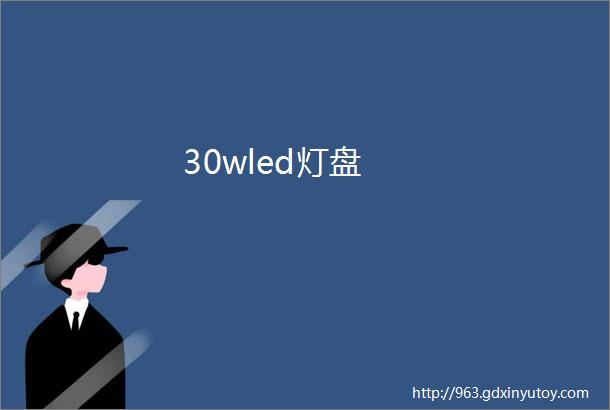 30wled灯盘