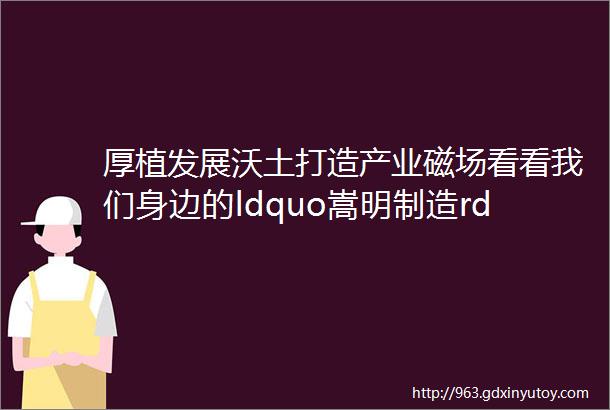 厚植发展沃土打造产业磁场看看我们身边的ldquo嵩明制造rdquo