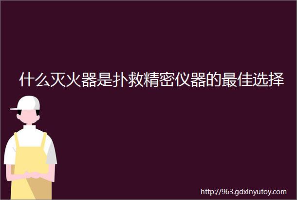 什么灭火器是扑救精密仪器的最佳选择