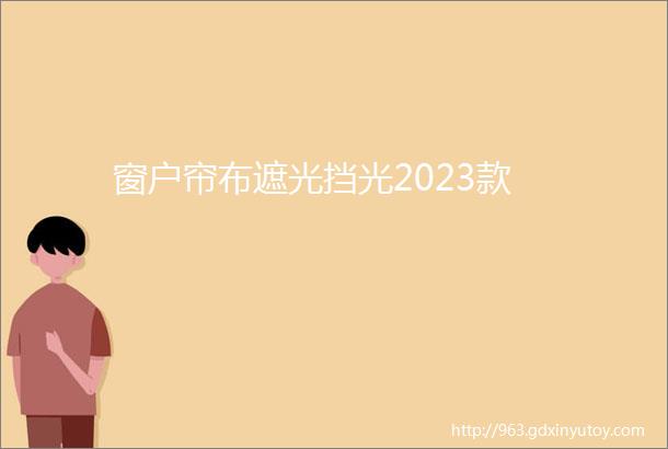 窗户帘布遮光挡光2023款