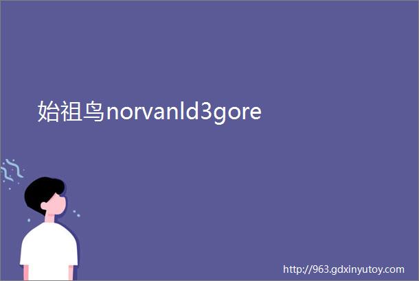 始祖鸟norvanld3gore