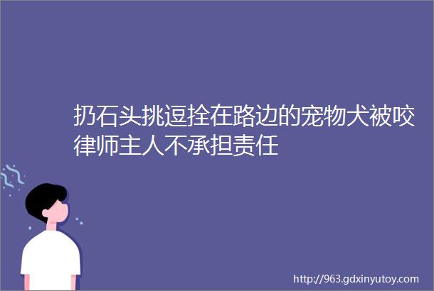 扔石头挑逗拴在路边的宠物犬被咬律师主人不承担责任