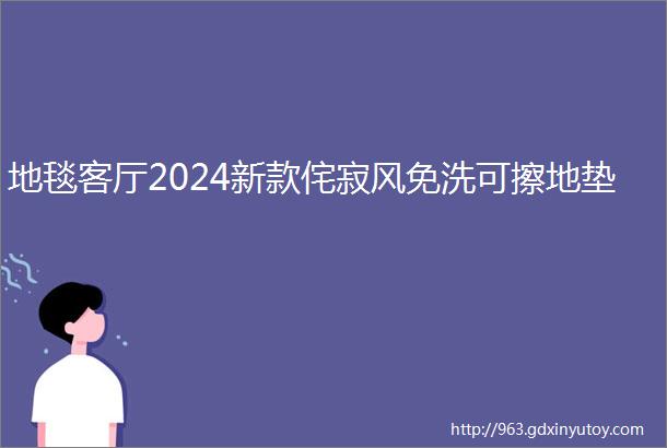 地毯客厅2024新款侘寂风免洗可擦地垫