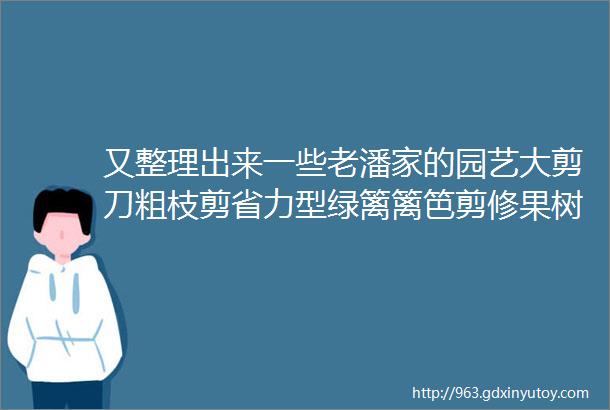 又整理出来一些老潘家的园艺大剪刀粗枝剪省力型绿篱篱笆剪修果树花木草坪绿化