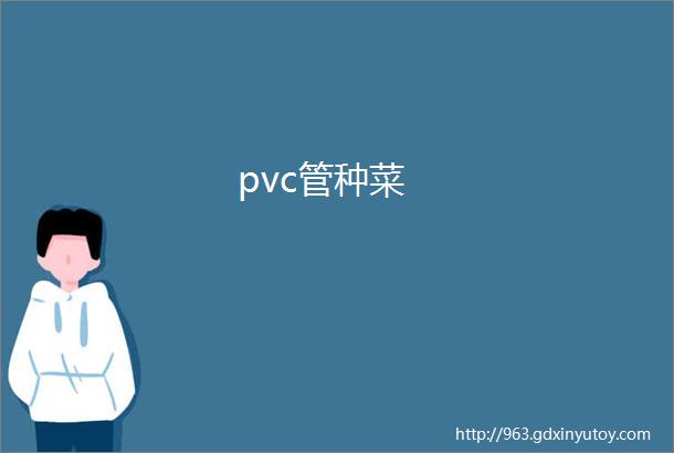 pvc管种菜