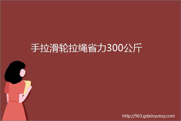 手拉滑轮拉绳省力300公斤