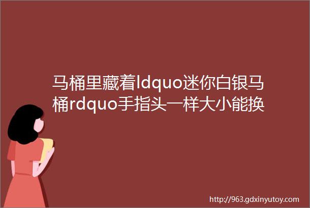 马桶里藏着ldquo迷你白银马桶rdquo手指头一样大小能换巨无霸马桶