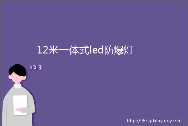 12米一体式led防爆灯