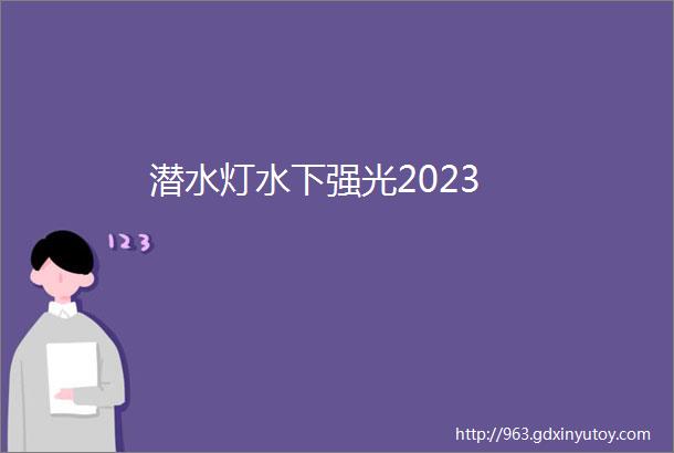 潜水灯水下强光2023