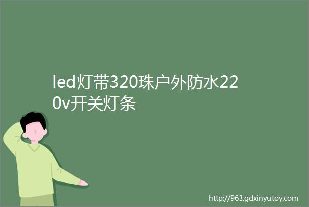 led灯带320珠户外防水220v开关灯条