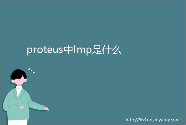 proteus中lmp是什么